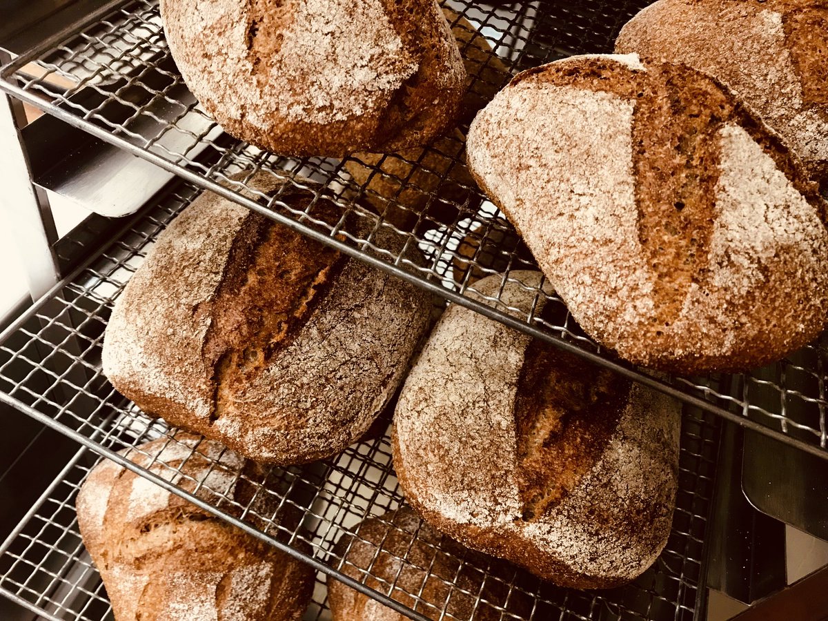 cokkipan's tweet photo. 種（タネ）の御機嫌も良く、芳醇な香りに焼き上がりました♪
#branbread #campagne #spelt #wholewheat #sourdoughbread #organic https://t.co/oadcYjkX2O