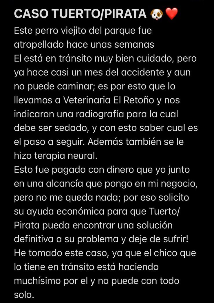 YamilaMartin98's tweet photo. holisss!! Necesito su ayuda ❤

He tomado el caso de este perro viejito del parque, abajo se encuentra bien la explicación 
Toda ayuda suma!! También podes rt 🙏

Datos para colaborar 

Cuenta a nombre de Yamila Martin

ALIAS: hola.yami
CEL: 2644516456
CBU: 0000003100031285235151 https://t.co/kgo2GpTyc5