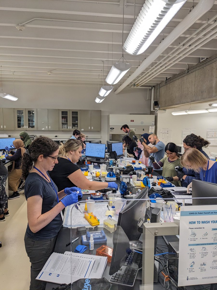 ABEUTM1's tweet photo. Another day, another gel prediction, another purification!! Amazing day two of #ABEPDI in July is in the books, full of happy smiling trained teachers!! 

Tomorrow: PCR!!

@ABEProgOffice @AmgenFoundation @AmgenCanadaGM @UTM_Research @UTMBiology @UTM_CPS https://t.co/SRWZg0zRDt