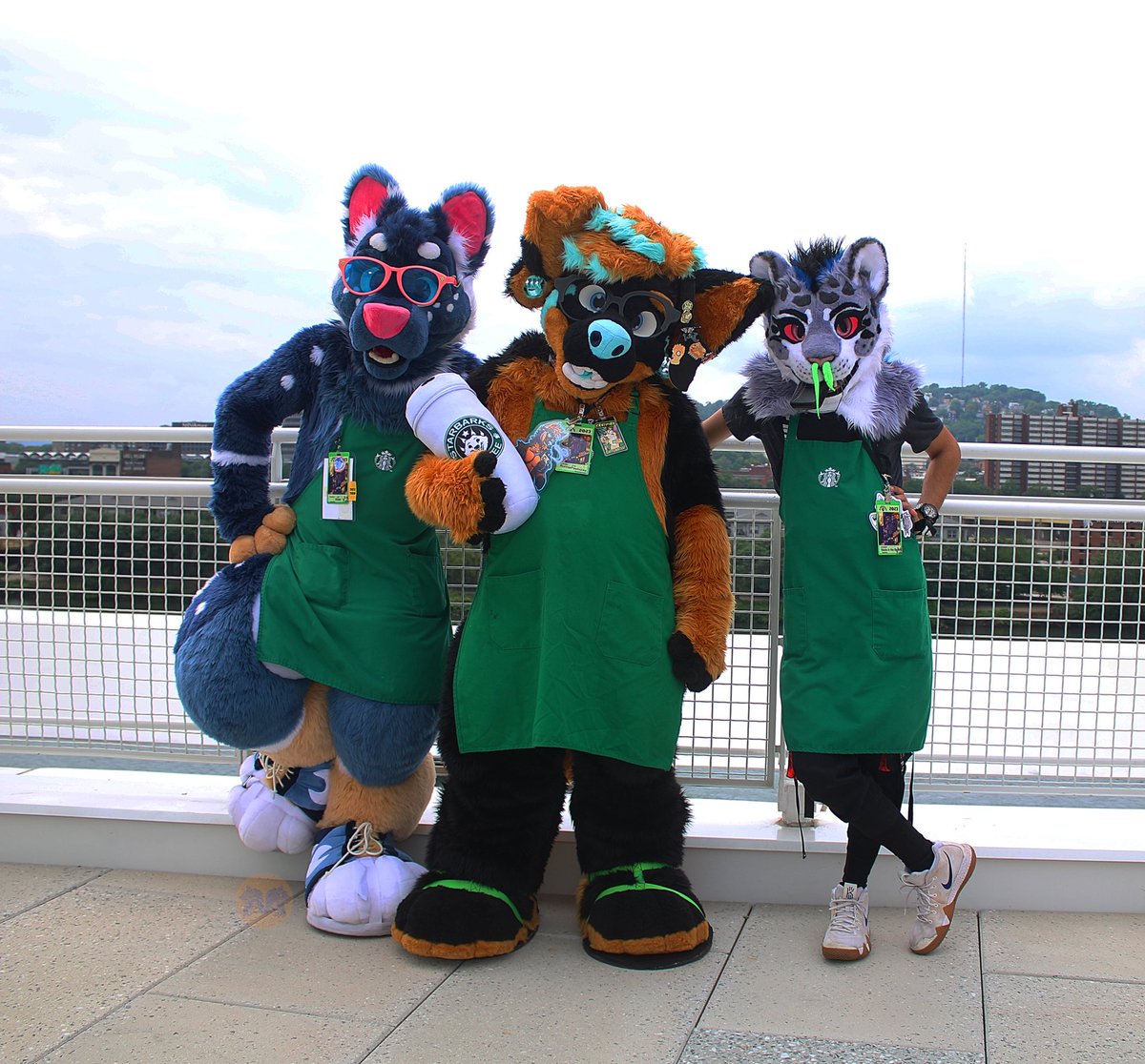 MawfulMenagerie's tweet photo. Can you say coffee addiction! @RonniePawbucks @nicksfurry @sorenT77 #anthrocon #AC23 #anthrocon23 #furries #fursuiters #fursuit #coffeeaddicts #coffee #starbarks https://t.co/6WMAIRmfUL