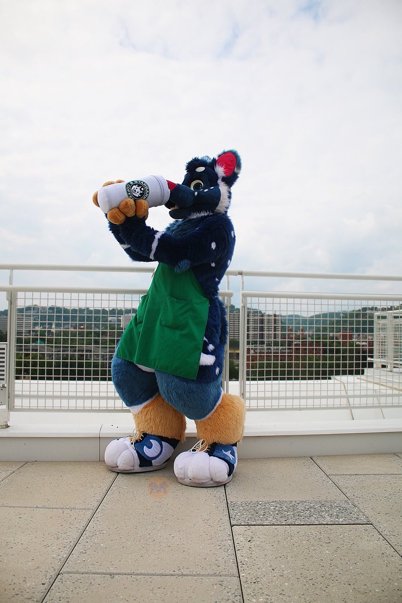 Can you say coffee addiction! <a href="/RonniePawbucks/">Ronnie</a> <a href="/nicksfurry/">Atlas ✨</a> <a href="/sorenT77/">🔞 • section 8 dick (soren)</a> #anthrocon #AC23 #anthrocon23 #furries #fursuiters #fursuit #coffeeaddicts #coffee #starbarks