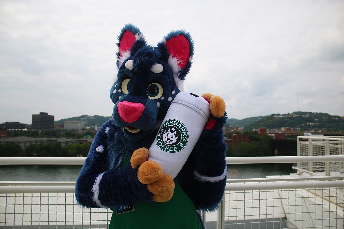 MawfulMenagerie's tweet photo. Can you say coffee addiction! @RonniePawbucks @nicksfurry @sorenT77 #anthrocon #AC23 #anthrocon23 #furries #fursuiters #fursuit #coffeeaddicts #coffee #starbarks https://t.co/6WMAIRmfUL