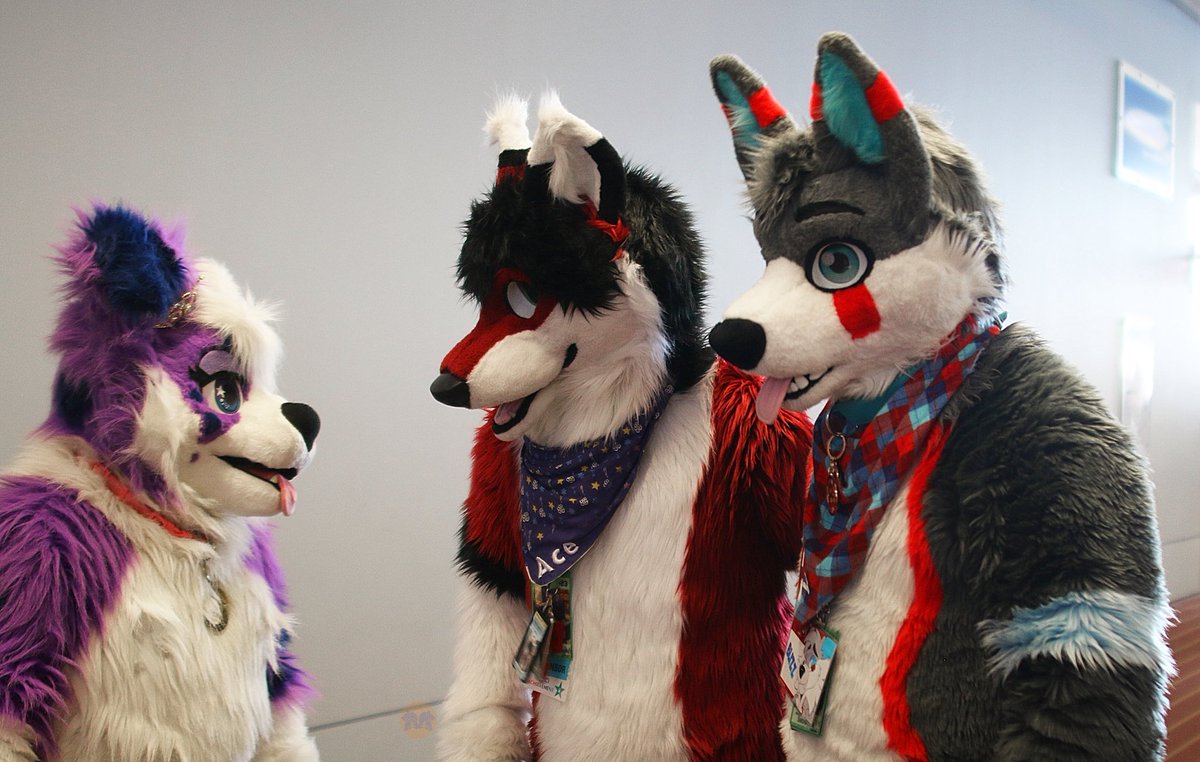 MawfulMenagerie's tweet photo. The cuteness brigade! @BlizzTheWolf @GalaxieCollie @DiamondAceFox @FoxiFelix #anthrocon #anthrocon2023 #anthrocon23 #ac23 #furries #furry #fursuit #fursuiters https://t.co/ZY5aYZMDwh