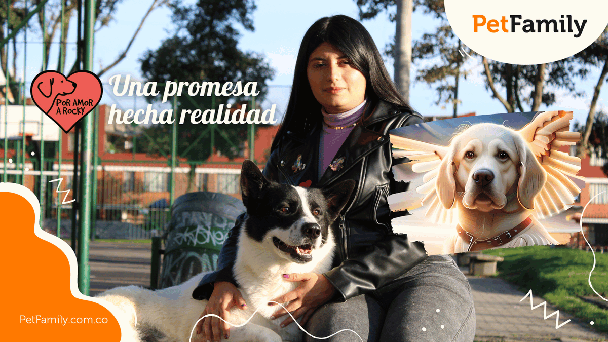 ¡Descubre la historia de la fundación #PorAmorARocky! 🐾💙 Un increíble rescate animal que salva vidas peludas. ¡No te lo pierdas! 🎥✨ #Animales #Rescate #AmorPorLosAnimales

youtu.be/h8ZsgXF7J2A

#Peros #Gatos