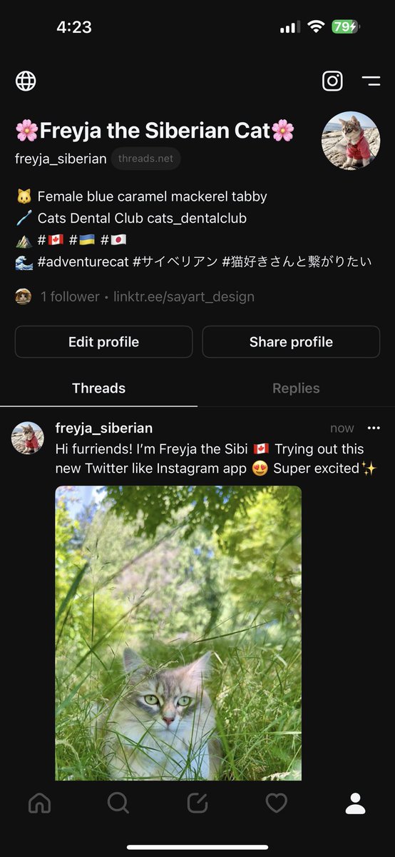 freyja_siberian's tweet photo. スレッズ始めたにゃん🐈フォローお願いしますにゃ‼️
I started Threads by META✨ Please follow me‼️
https://t.co/lwJZHZFRbm
➡️@ freyja_siberian https://t.co/F67EXyeaxs