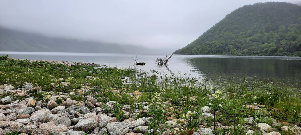 Chipman2012's tweet image. Quad trip to Little River Lake today.