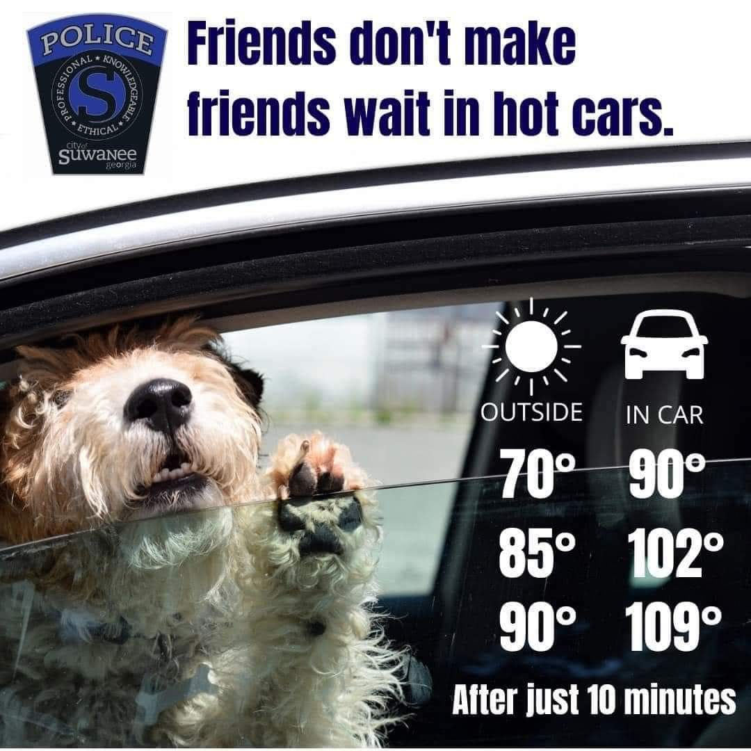 thepetdomain's tweet photo. Keep your pup cool, hydrated and at home! #thepetdomain #pets #petsupplies #petlovers #ilovemydog #dogsofinstagram #dogstagram #dogs #animals #paws https://t.co/Nfdou4YFPz