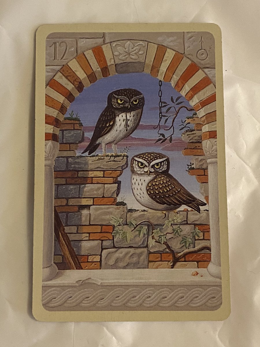 🕊️bird🕊️
本日は
コミニュケーション能力がアップ✨
交渉など会話が弾む日です
インターネットでの情報収集するとよいでしょう✨
#ルノルマンカード　#占い　#鑑定