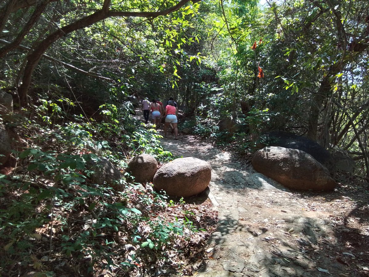 solimperialaca's tweet photo. Book your Eco Tour today!   
🌐 https://t.co/8wo9BPLO4d 

#EcoTour #NatureExperience #QuintoSolImperial #Acapulco https://t.co/RxZ4BBTOto