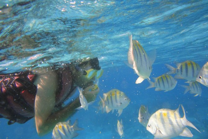 solimperialaca's tweet photo. Book your Eco Tour today!   
🌐 https://t.co/8wo9BPLO4d 

#EcoTour #NatureExperience #QuintoSolImperial #Acapulco https://t.co/RxZ4BBTOto