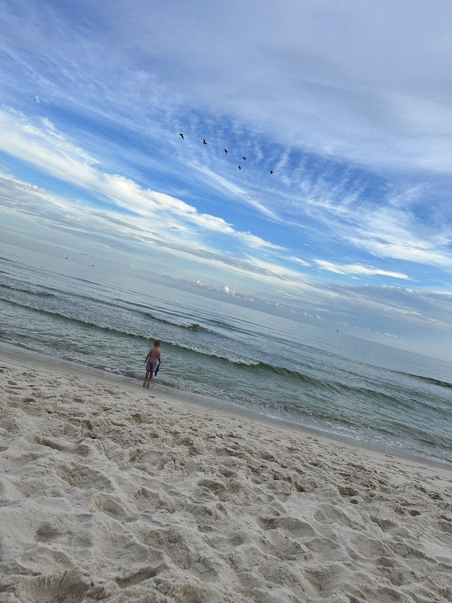 SallyGinn's tweet photo. Fort Morgan, AL @spann https://t.co/rBaKUxVPok