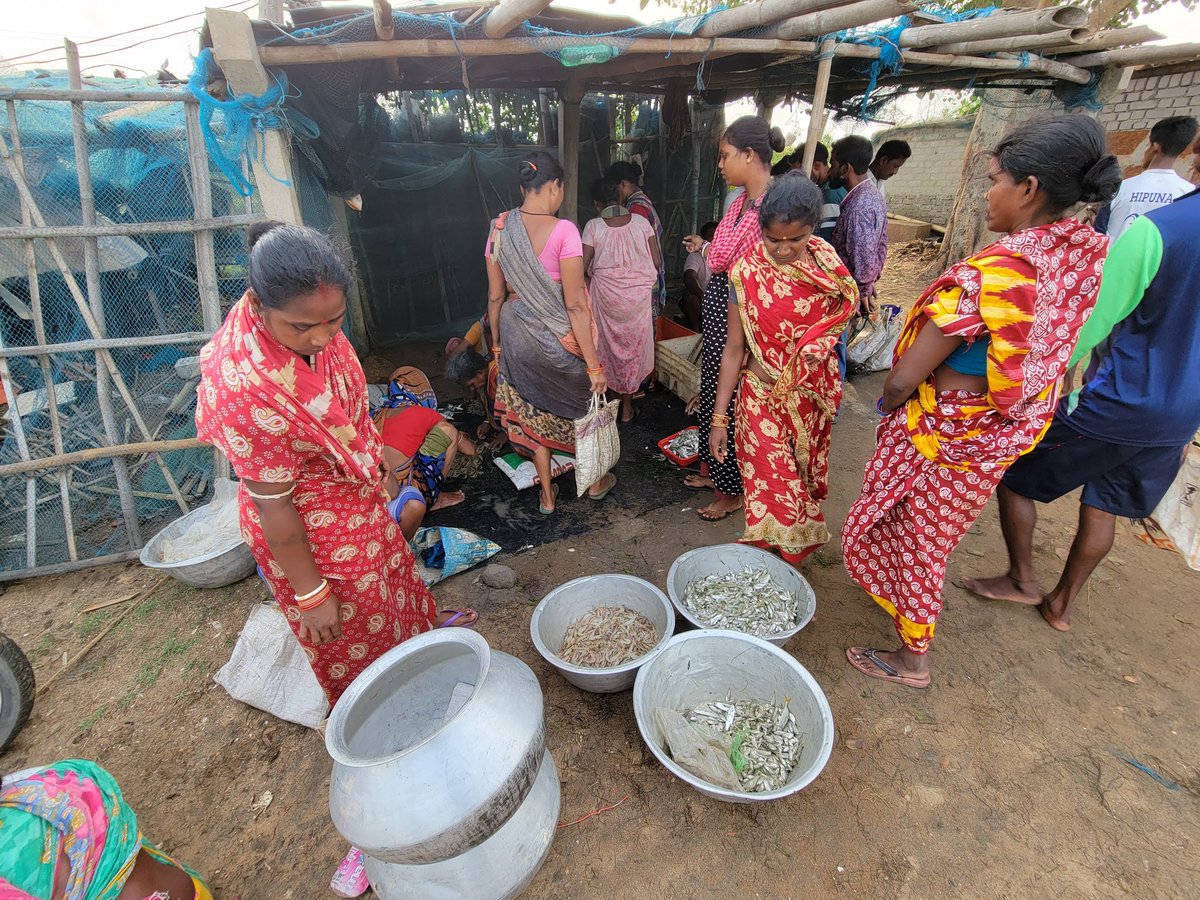 NEW PAPER: From vulnerability to viability: A situational analysis of small-scale fisheries in Asia and Africa - goo.gl/scholar/MLphSh #ScholarAlerts
What a meaningful collaboration of 75 academics, practitioners &amp; policy people <a href="/V2VPartnership/">V2V Global Partnership</a>
leading to this synthesis paper