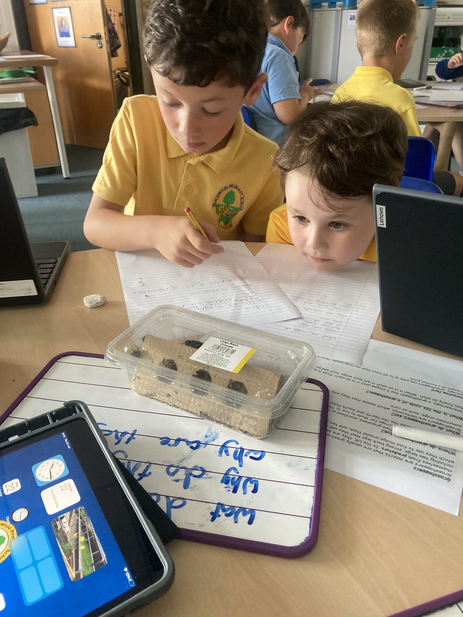 Last week, we had some special visitors to Year 3 🦗 🧐. 
We have been exploring different habitats and life cycles to create fact-files 👍