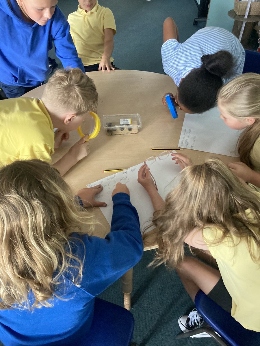 YearThreeBPS's tweet photo. Last week, we had some special visitors to Year 3 🦗 🧐. 
We have been exploring different habitats and life cycles to create fact-files 👍 https://t.co/RyzvHFX4NB