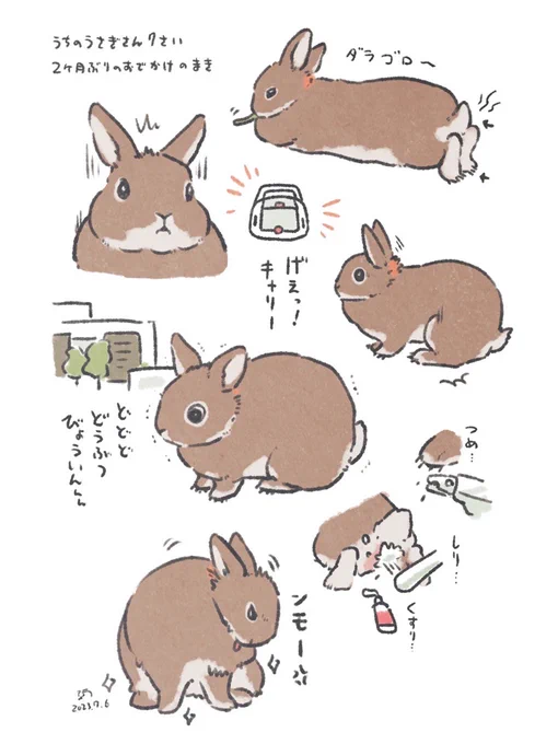 マスター!いつもの!(爪切り尻洗い) 