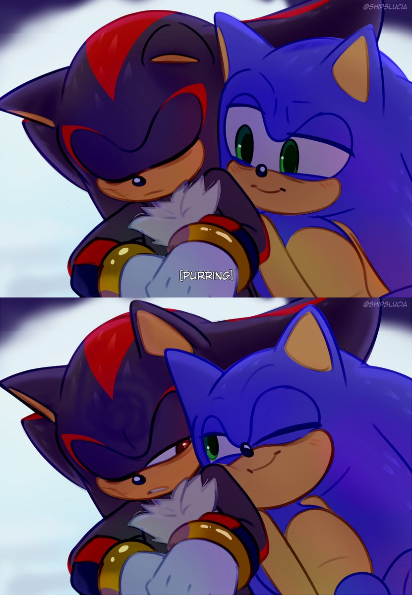 Sonadow/Sonic x Shadow, Shipping Book (No More Authors!)