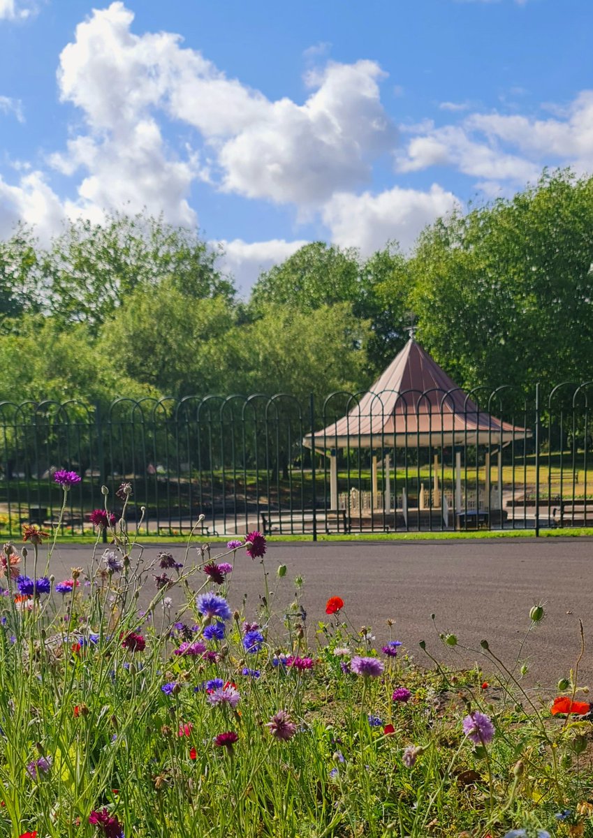 rufus mufasa tweet media