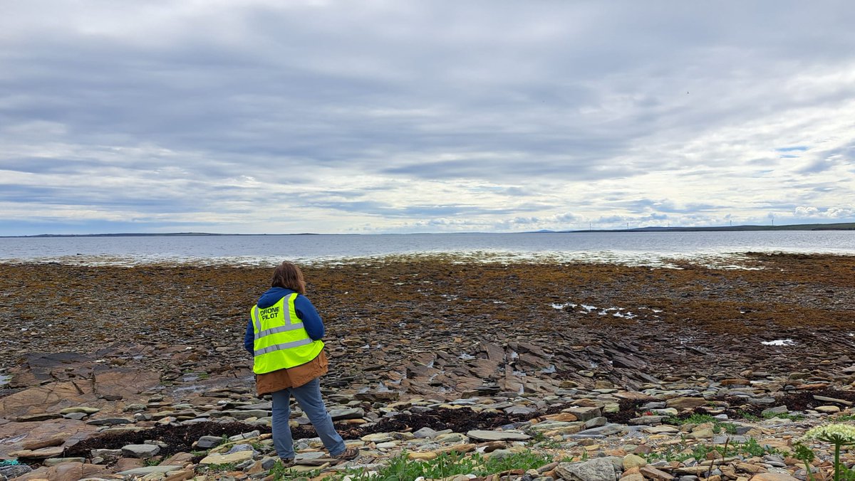 Prof Ana M Queiros (@dranaqueiros) on Twitter photo Team #kelp #bluecarbon is up in #Scotland for our @TaliskerWhisky <a href="/Bluemarinef/">Blue Marine Foundation</a> <a href="/HeriotWattUni/">Heriot-Watt University</a> collab, assessing how to map #kelp at scale. Great work from our #drone pilots <a href="/cursedquark/">Aser M T</a> <a href="/_willjay/">William Jay</a>. So exciting! 🙌🌊 Team #kelp #bluecarbon is up in #Scotland for our @TaliskerWhisky <a href="/Bluemarinef/">Blue Marine Foundation</a> <a href="/HeriotWattUni/">Heriot-Watt University</a> collab, assessing how to map #kelp at scale. Great work from our #drone pilots <a href="/cursedquark/">Aser M T</a> <a href="/_willjay/">William Jay</a>. So exciting! 🙌🌊