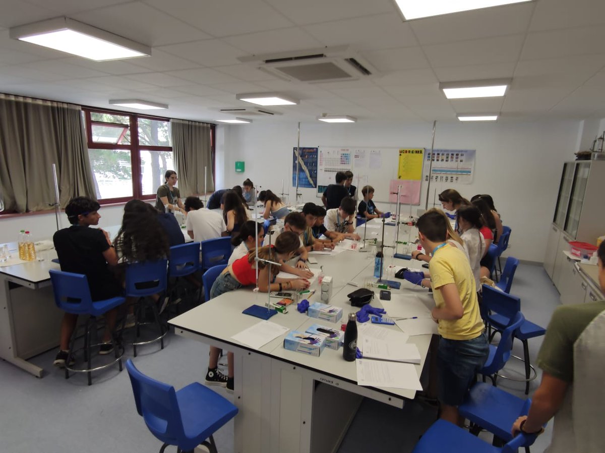 QuinteScience's tweet photo. ¡Día 3 de la #OCJE2023!

Nuestros olímpicos han tenido una jornada intensísima entre exámenes y actividades, ¿Nos acompañas a ver un resumen? 👇👇👇 https://t.co/qQ7iNXYRg7