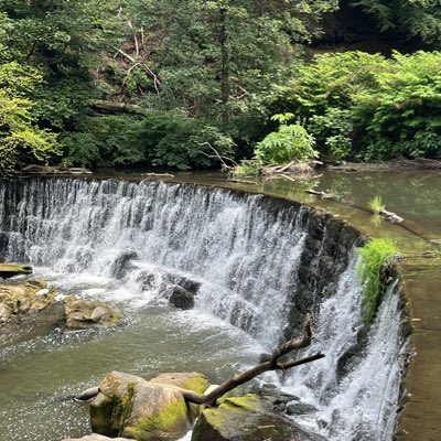 TootleToni's tweet photo. #NewProfilePic https://t.co/OKbeAeS6s8