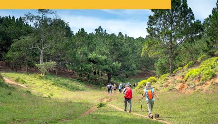 The Success League tweet media