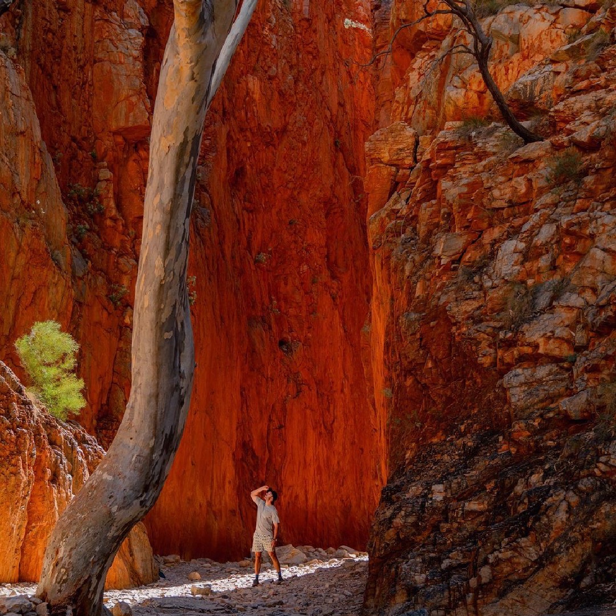 Between a rock and a gorge-ous place in @NT_Australia 🧡 Cheers to our mate IG/bryanhynes_ for sharing this stunning snap of Angkerle Atwatye (Standley Chasm). #seeaustralia #comeandsaygday