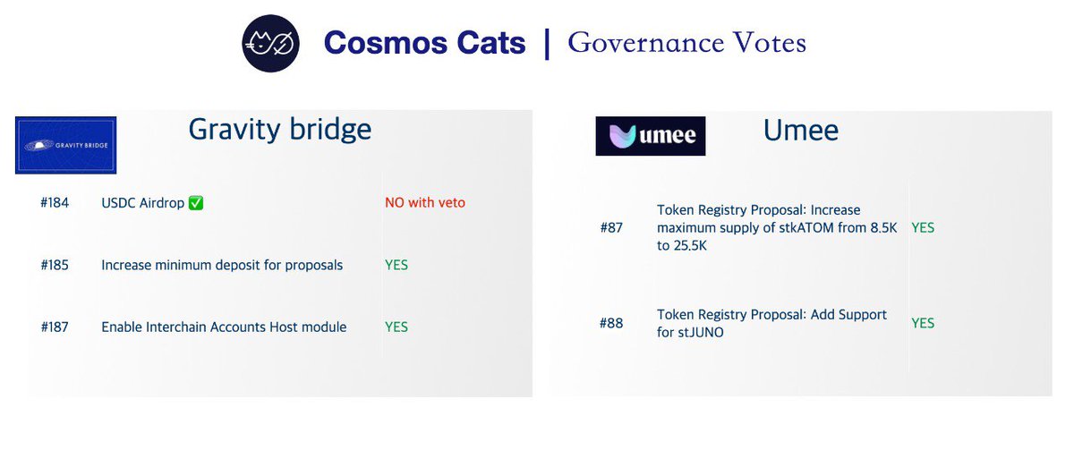 Cosmos Cats tweet media