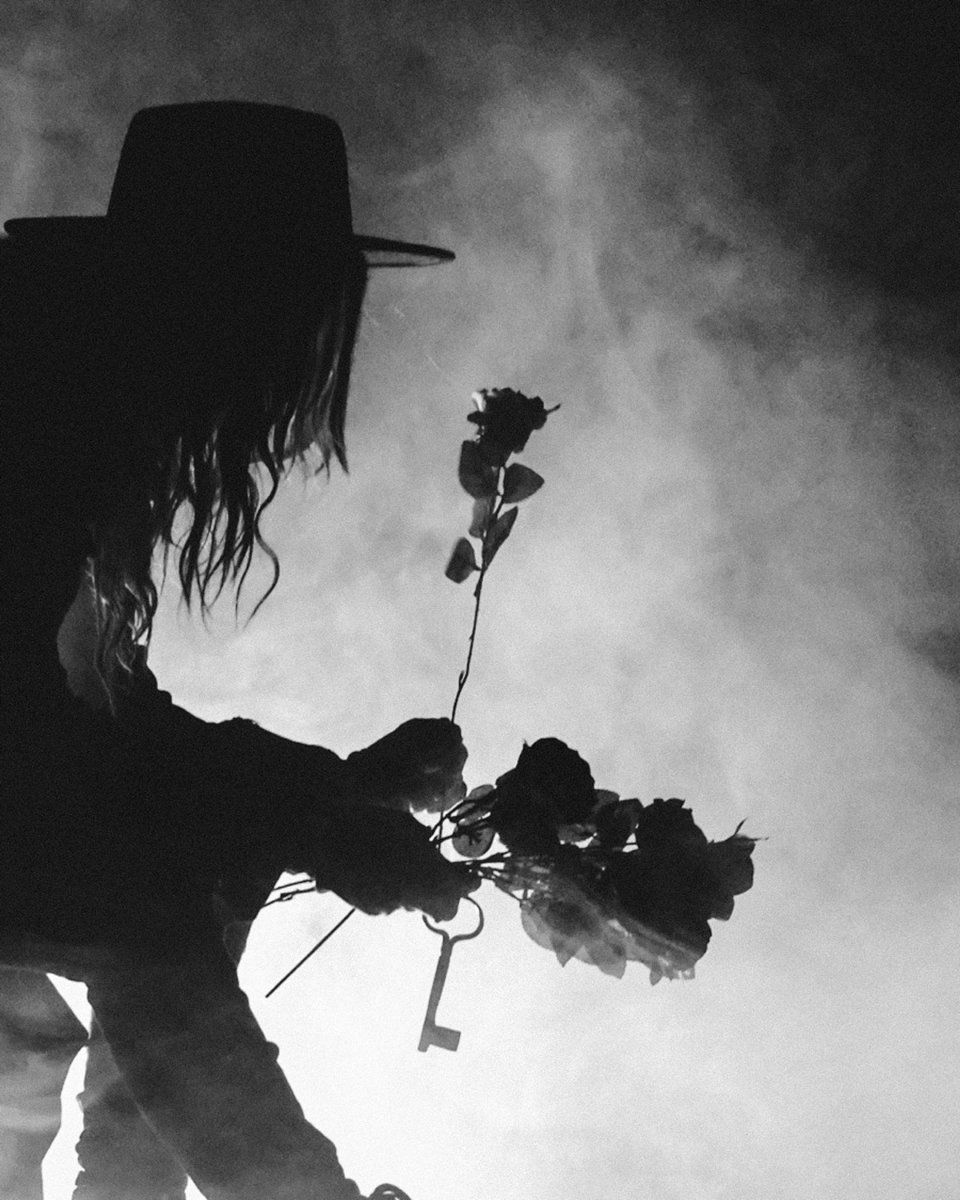 scarecrowrayne's tweet photo. “My petals are stained, some are absent.” 🥀 https://t.co/cbUACJqiRM