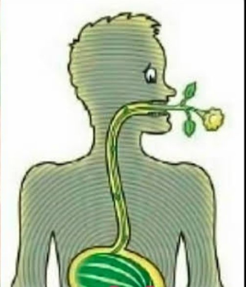 Me pasé un hueso de ciruela 😭