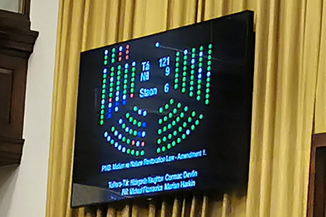 noonan_malcolm's tweet photo. 👏 When I spoke on the Nature Restoration Law earlier today I said we were moving towards a unified position in the Dáil.

Well, we're not there yet, but we're not far off! 
Tá 121, níl 9, in favour of govt counter motion supporting the #NatureRestorationLaw! 💪 #RestoreNature https://t.co/1y0pzIymPn