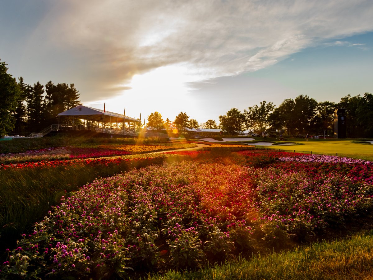 RTJ2GolfDesign's tweet photo. What a time the U.S. Senior Open was last week at @SentryWorld!
#USGA #SentryWorld #RTJII #USSeniorOpen https://t.co/IewCzAr0m2