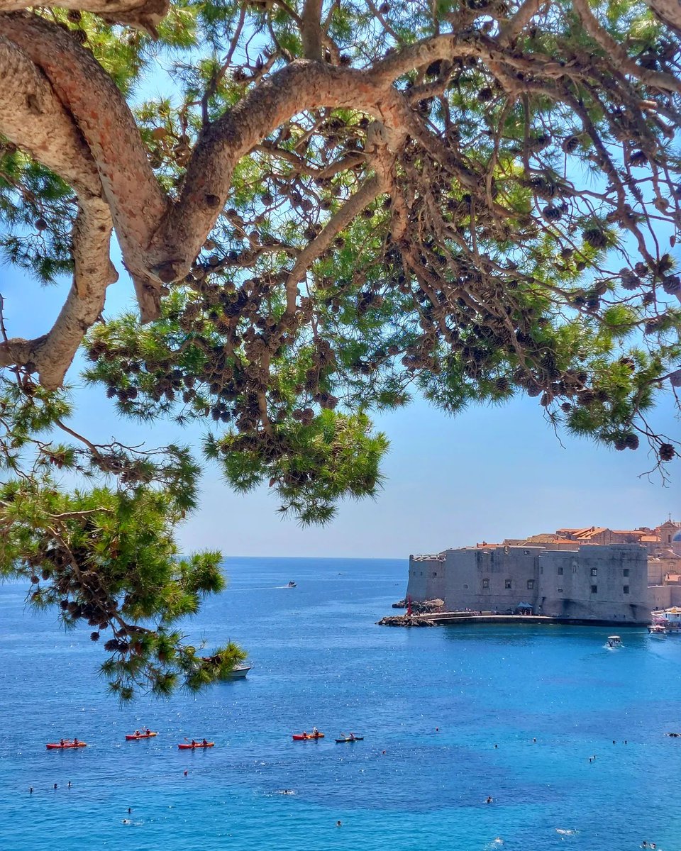 Greetings from 📍Dubrovnik,Croatia 💙💙#dubrovnikcroatia🇭🇷 #dubrovnik #soltourism #hotelpetka #hostelsol #adriaticsea  #jadran #town #beautiful #travelcroatia #travel #summer #landscape #kroatien  #mediteranean #seaphoto  #relax #summerdays 
photo: Marina K.