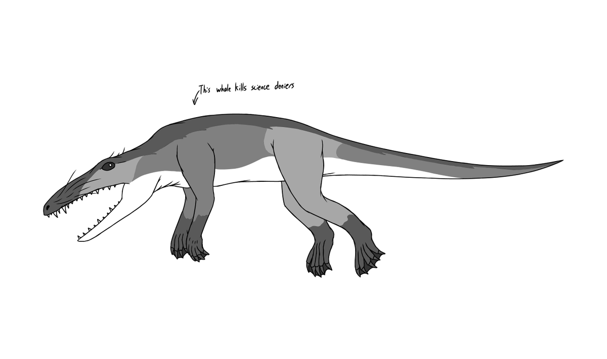 LapissedL4zuli7's tweet photo. Quick sketch of one of the first(but not THE first) creatures in the ancestry of cetaceans, Ambulocetus. The evolution of whales is just such a unique thing, don't you think?
#ambulocetus #paleoart #artistontwitter #arttwt #whaleevolution https://t.co/NgA0esXES3
