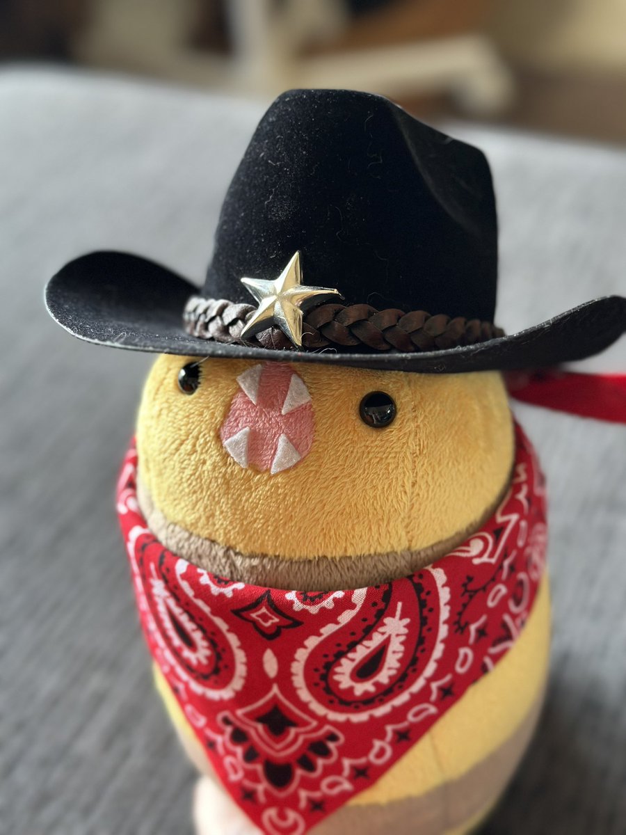 Malindachan's tweet photo. I got him a bandana
The Great Sheriff of Scree Haw

Serpent plush pattern by @owlsteaparty https://t.co/UGvD0QLcvl