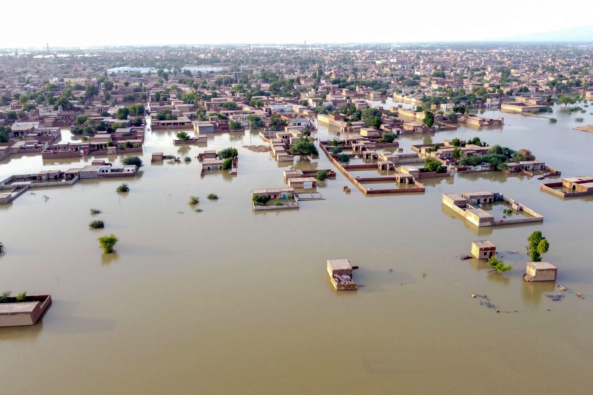 MatthewShribman's tweet photo. “Liveable future crisis”

Millions of us are already being displaced from increasingly unliveable places.

Famine, heatwaves, flooding and intensifying diseases are already the reality.

People’s children will die from this crisis. People alive today will die from this crisis. https://t.co/MjUZsqL6iI