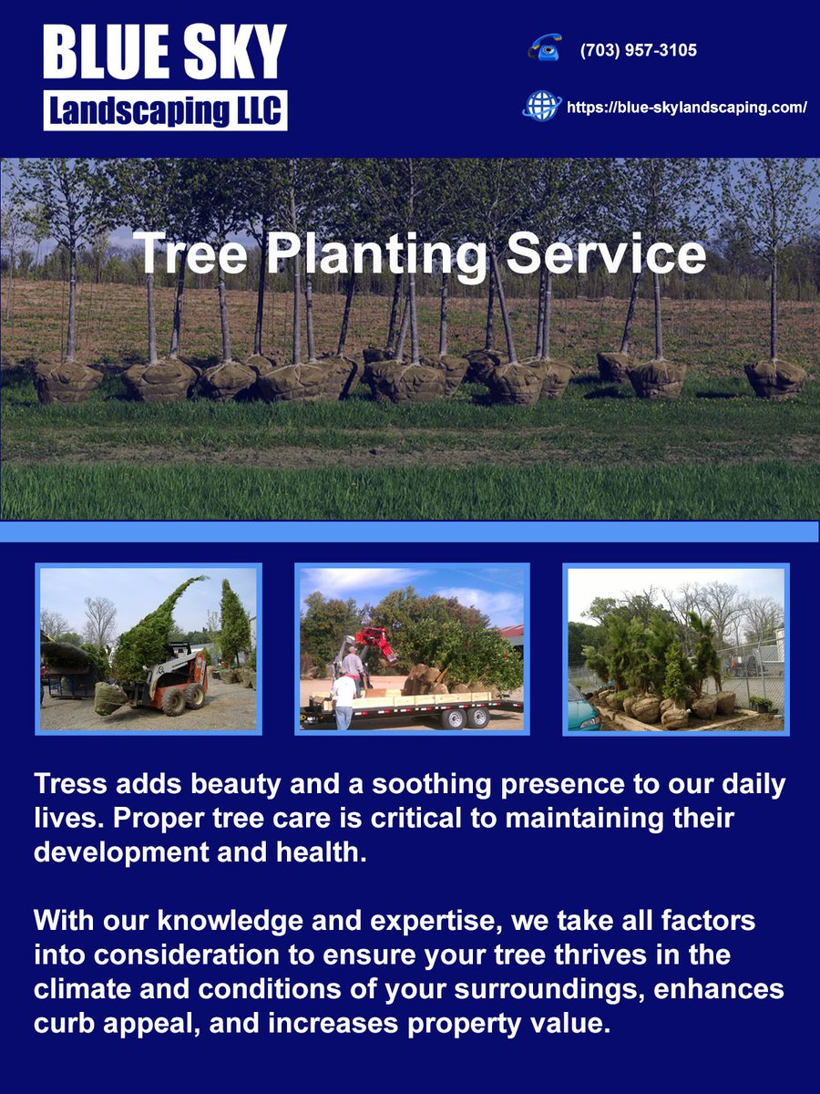BlueSkyLScaping's tweet photo. Transform your outdoor space into a lush paradise with Blue Sky Landscaping's exceptional planting services. From vibrant flower beds to majestic trees, we bring nature's beauty to your doorstep.
703.957.3105
https://t.co/z86x2Nq3Y8
#Landscaping #PlantingServices #treeplanting https://t.co/gMCTZBIcBl