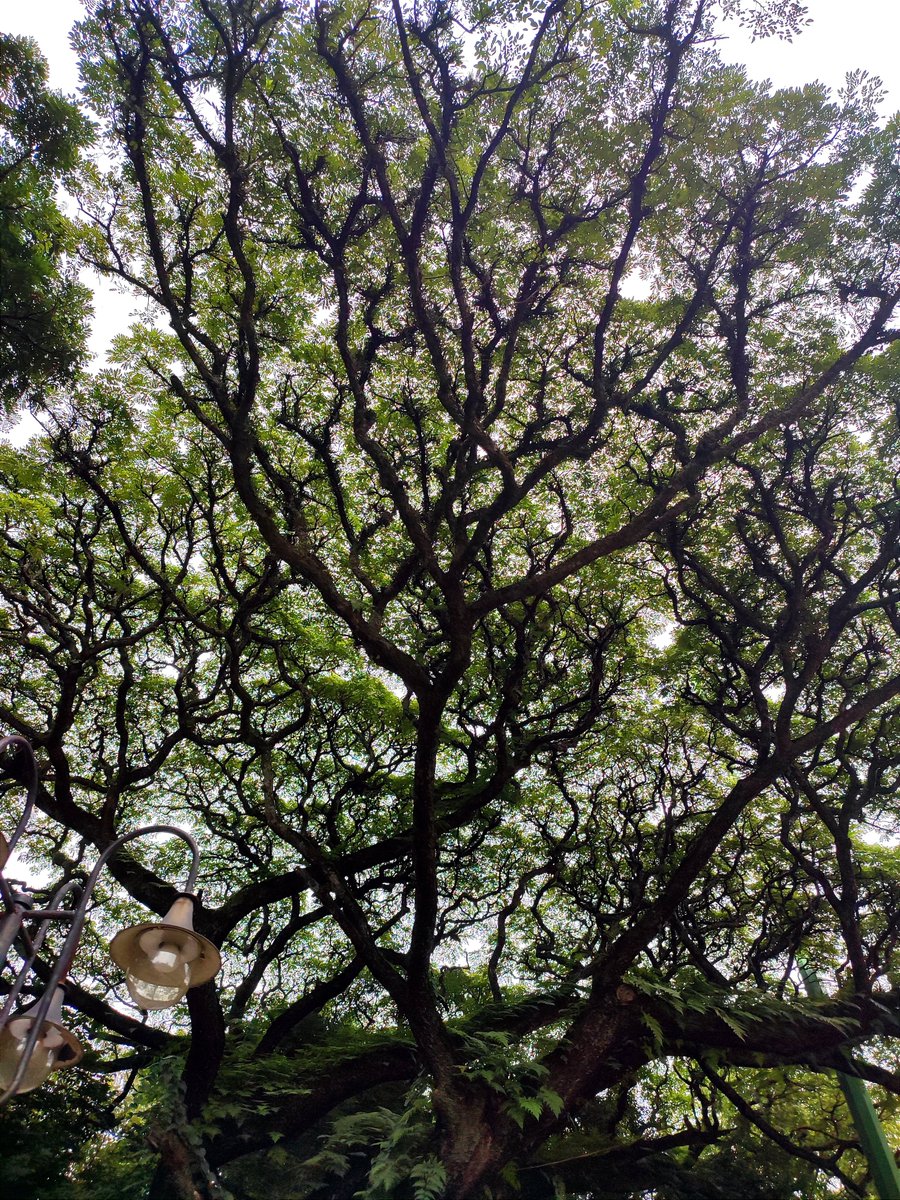 reta_ra's tweet photo. @tanyarlfes Nge-per org2 pada pake iphone aku setia sama redmi note 10 pro https://t.co/Eio9RMLMQB