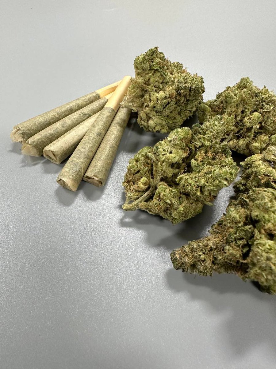 Silver_Stem's tweet photo. Add some flavor 🌿to your day with Silver Stem's flower ❤️‍🔥 
#silverstem #colorado #coloradolife #flavor #denvercolorado #denvershop https://t.co/cGW5XP33HK