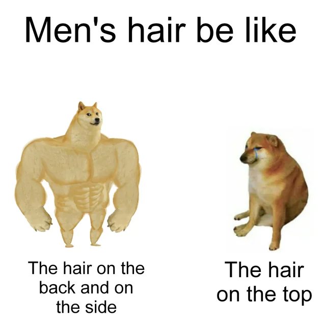 Memez_ tweet media