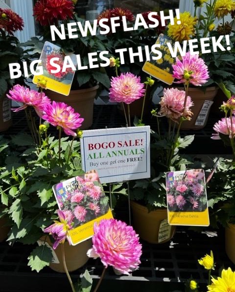 Natureworks Garden Center & Landscaping tweet media