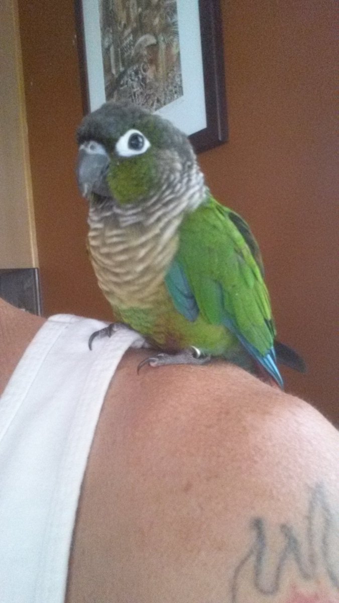 Henry Chinaski tweet media