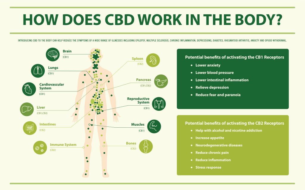 afowler06's tweet photo. Retweet this for me please people 🙏🏻 just some facts on how @supreme_cbd can help your body.  It’s amazing the results I see from people EVERYDAY and it’s a business I’m really proud to be apart of 🙏🏻 https://t.co/5pG9EDGiCV https://t.co/Q62IRI4Pit