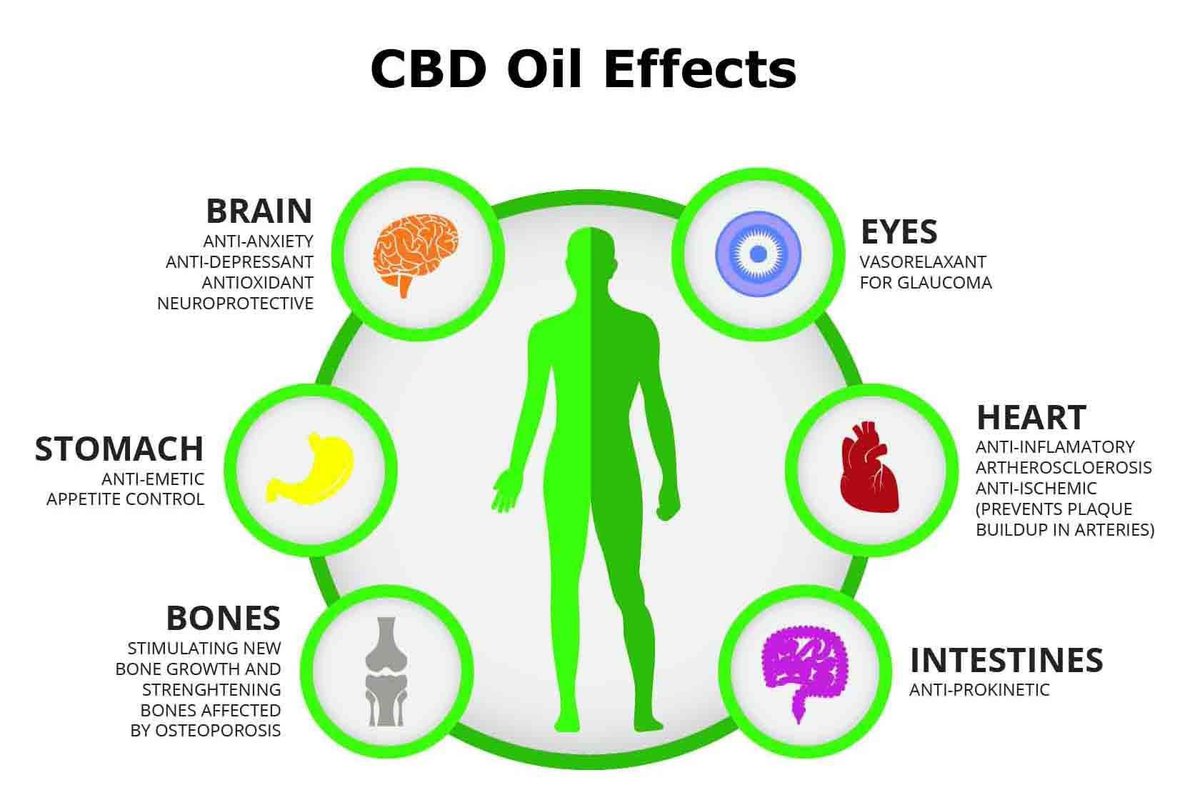 afowler06's tweet photo. Retweet this for me please people 🙏🏻 just some facts on how @supreme_cbd can help your body.  It’s amazing the results I see from people EVERYDAY and it’s a business I’m really proud to be apart of 🙏🏻 https://t.co/5pG9EDGiCV https://t.co/Q62IRI4Pit