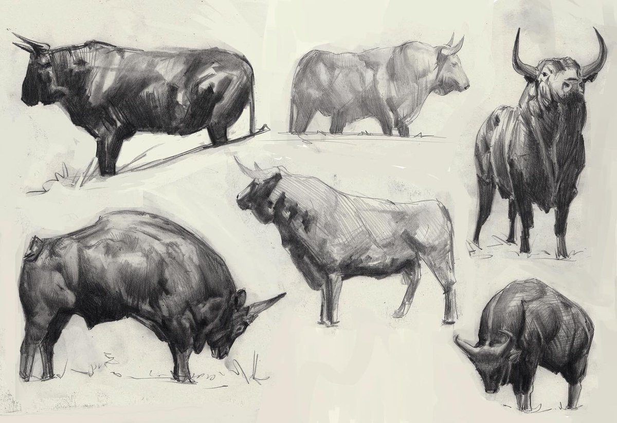 jesserintaylor1's tweet photo. Some bulls and rams in graphite! 
People have been asking if it’s really graphite or if it’s charcoal and to get that charcoal effect in graphite I use the ‘General’s Sketching Pencils’ in 6b and 2b. They’re flat pencils so you can really smudge up the look https://t.co/DGNXSXdrMP