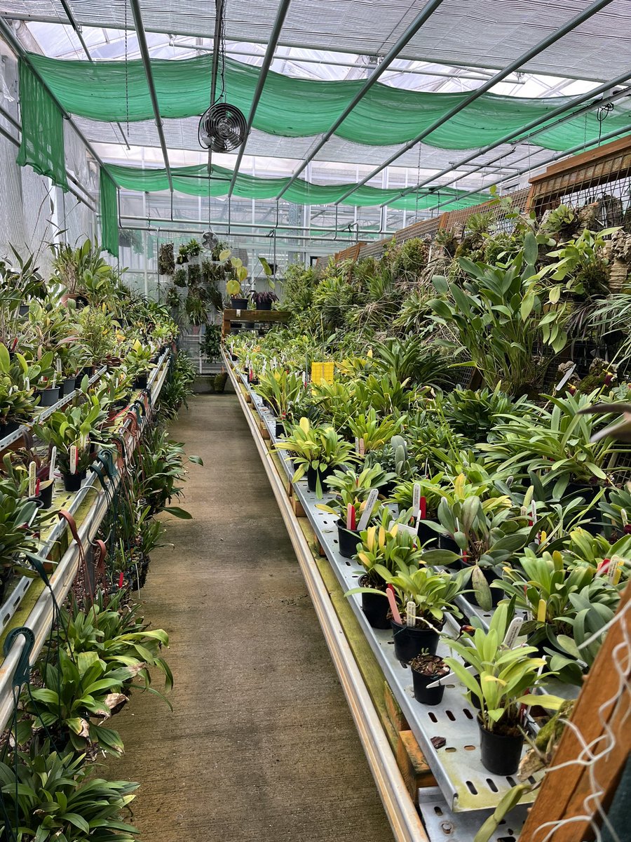 DelphinePouget's tweet photo. Another day another zoo @chesterzoo where @NaturalEngland @NEChiefSci @NENorthWest colleagues and @_AndyClements were shown behind the scenes captive breeding of some of the most endangered species from across the world. Their passion was uplifting! #conservationtranslocation https://t.co/7D97WwsMEA