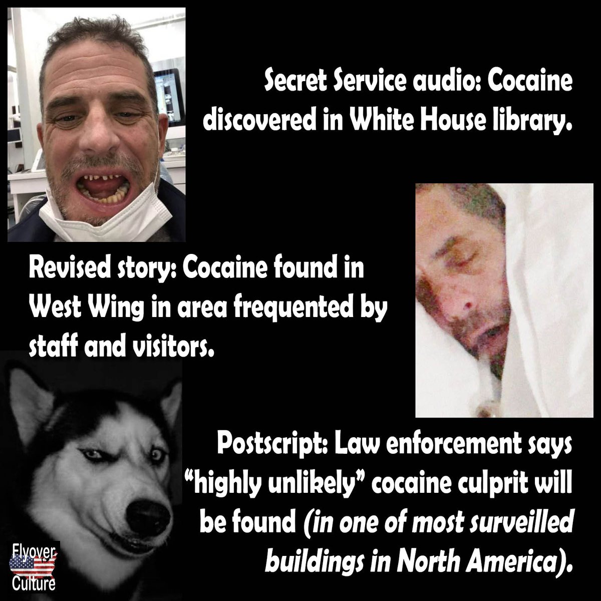 FlyoverCarole's tweet photo. Is anyone buying the "official" administration version of events surrounding the discovery of cocaine in the White House? 

#FlyoverORIGINAL https://t.co/QixsM9fSgp