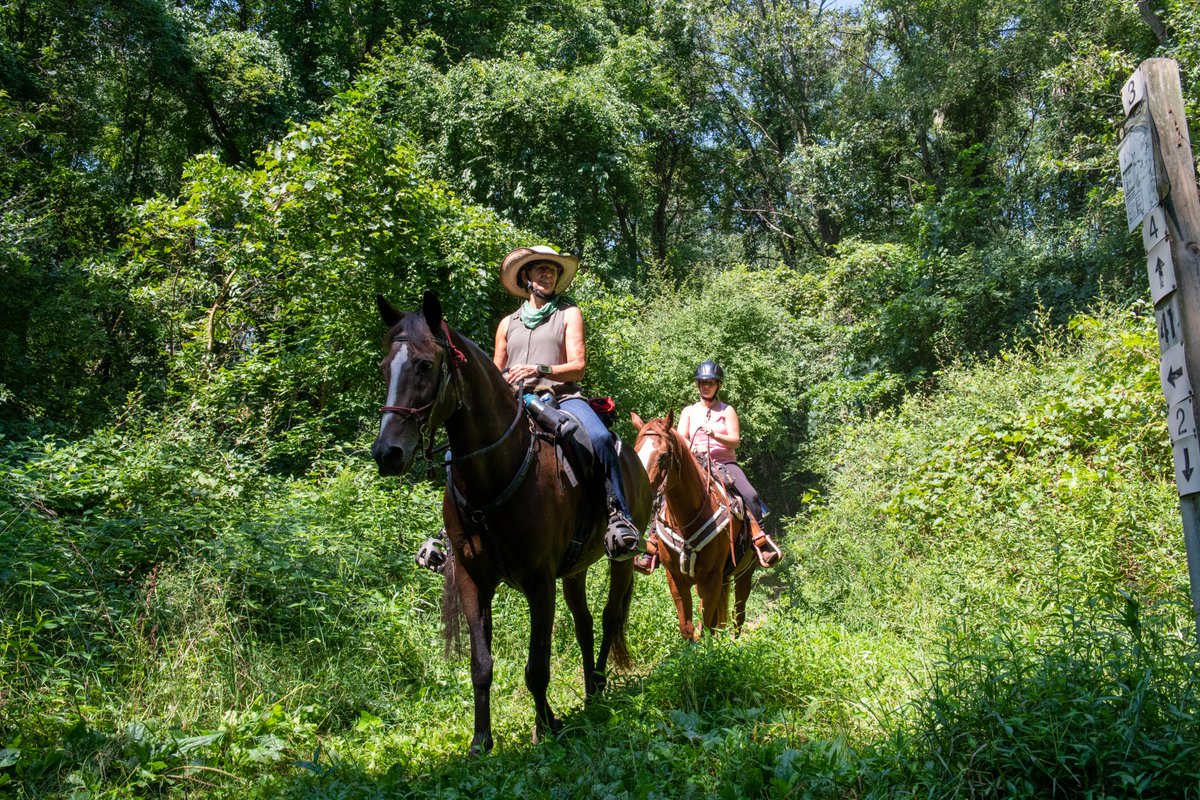 MiStateParks's tweet image. Want to find out about upcoming DNR meetings and the vacancy on equine trails subcommittee? Learn more  by visiting; content.govdelivery.com/.../MIDNR/bull….
#MiDNR #MiStateParks #MichiganEquestrian