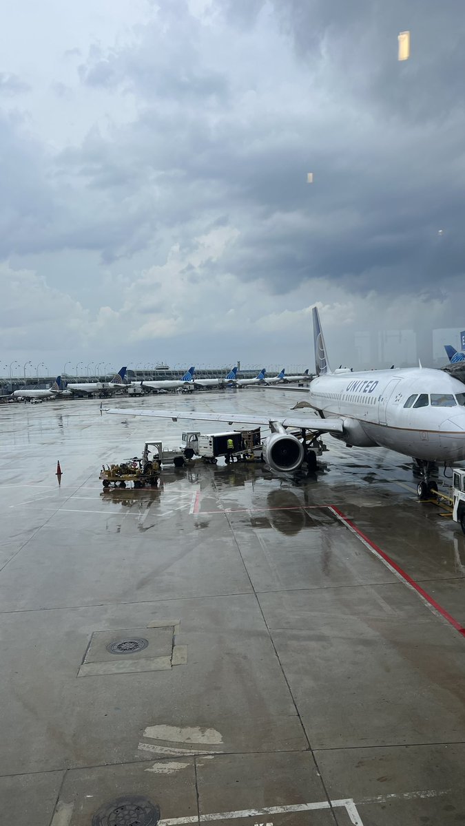 fly2ohare's tweet photo. Happy #WingWednesday ✈️💙 @united #ChooseOhare https://t.co/wErnKSrLZT