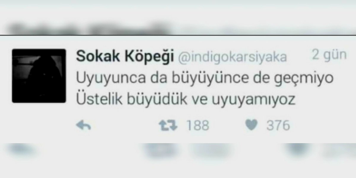 Sokakların Manevi Çocukları (@1yeraltisakini) on Twitter photo 