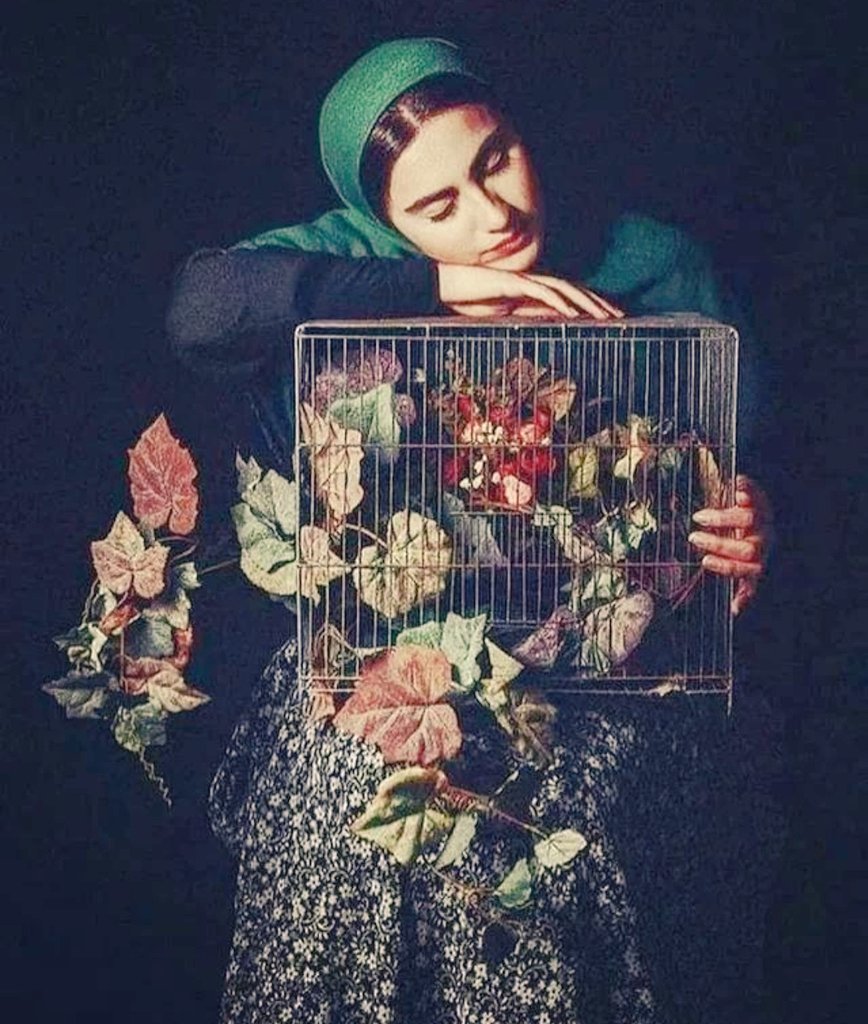 Meryem 🍀 tweet media